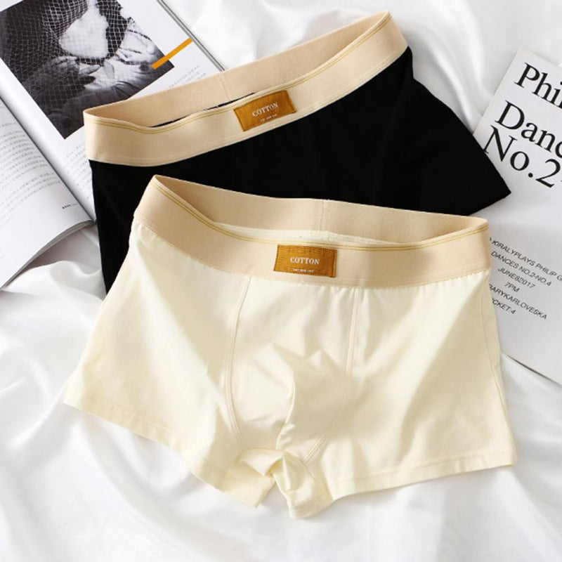 Cuecas Boxer de Algodão - Kit 5